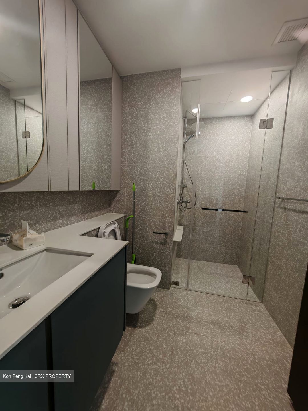 Clavon (D5), Apartment #478104911